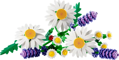 LEGO 11508 Daisies