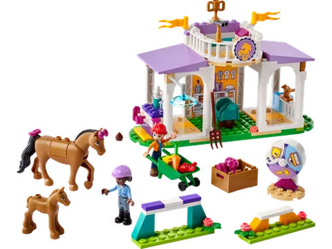 LEGO 41746 Horse Training
